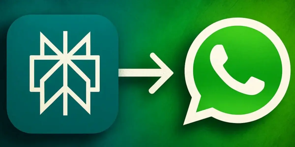 Perplexity to whatsapp