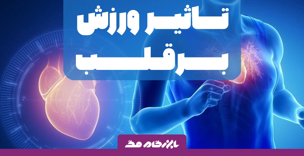 تاثیر ورزش بر سلامت قلب