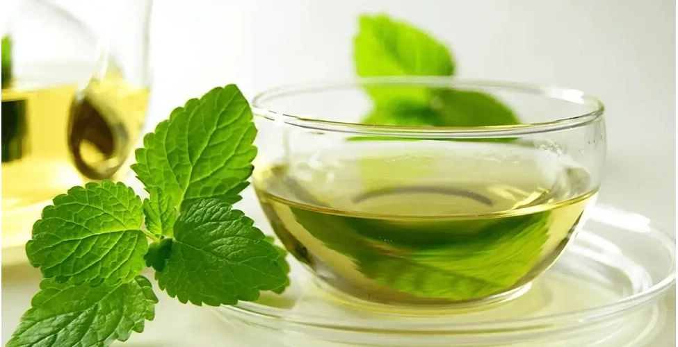 دمنوش چای سبز