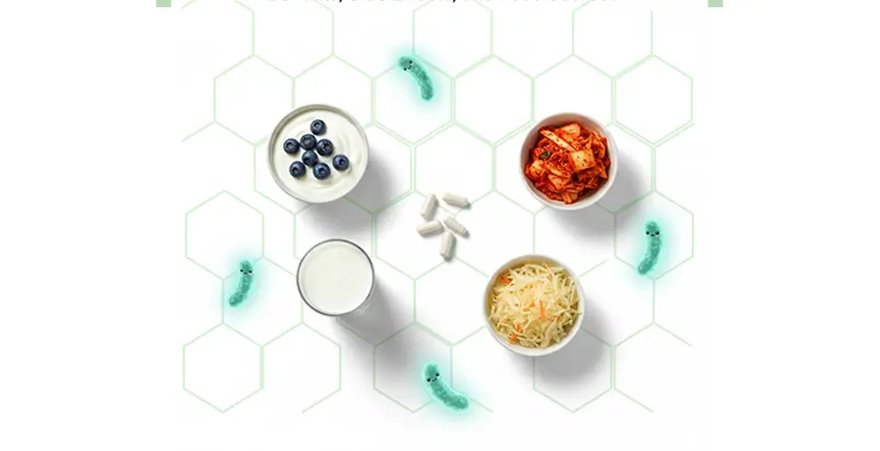منابع غذایی پروبیوتیک