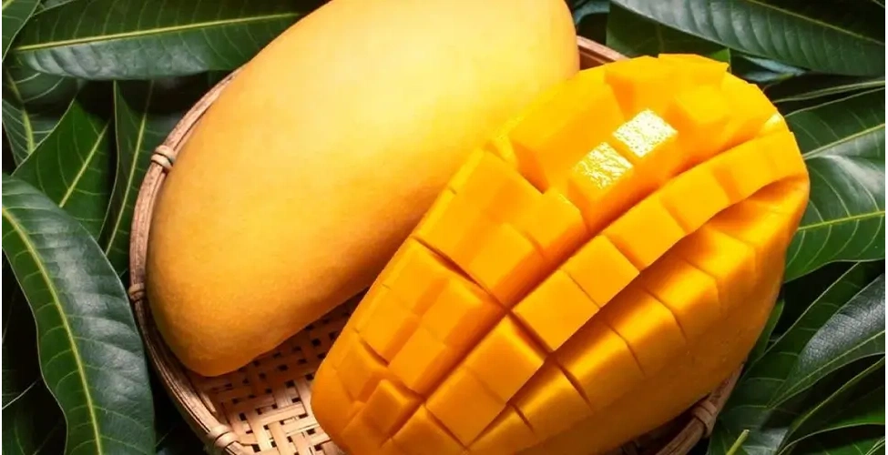 میوه انبه