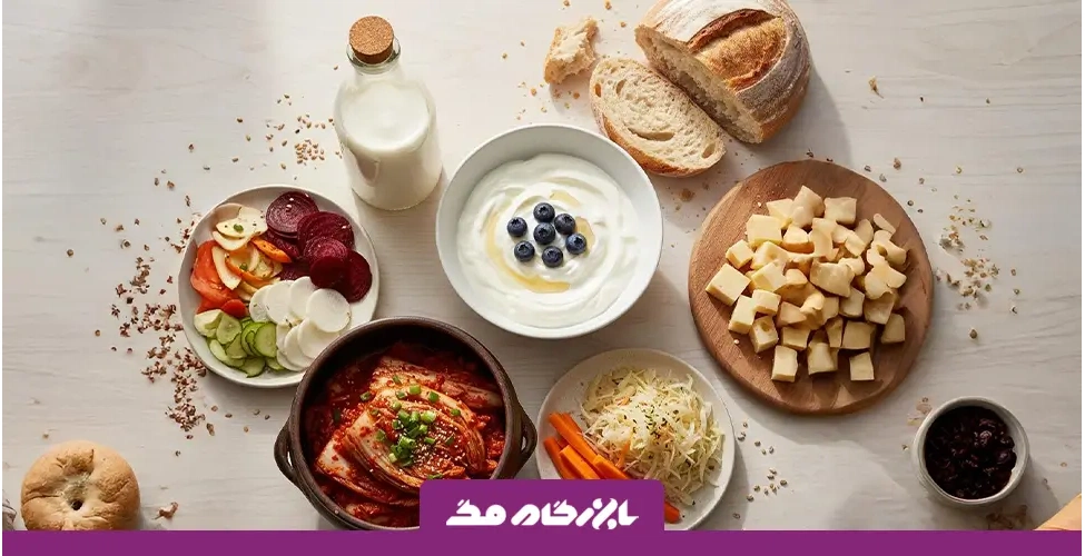 پروبیوتیک چیست و چه فوایدی دارد؟