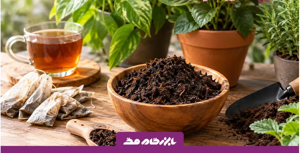 آموزش ساخت کود با تفاله چای؛ روشی ساده در خانه