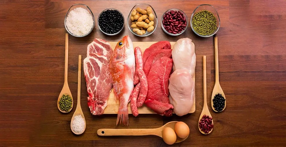 مواد غذایی دارای پروتئین بالا