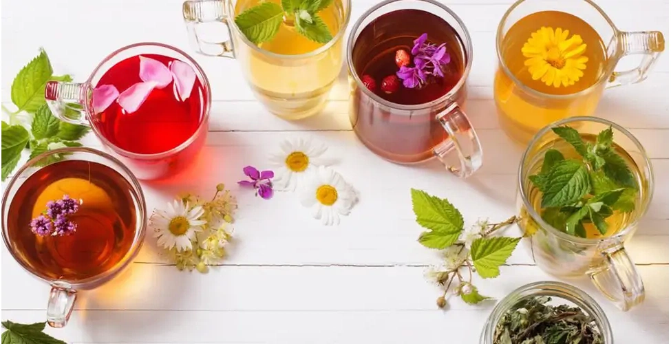 دمنوش های گیاهی