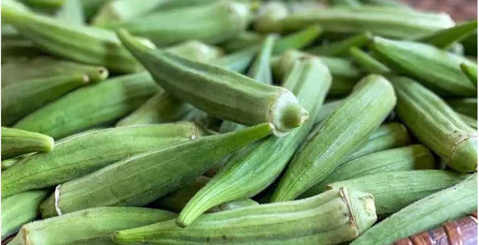 بامیه سبز