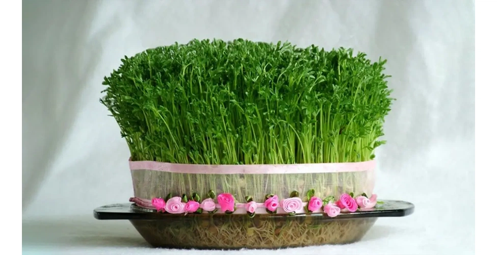 سبزه عید با عدس