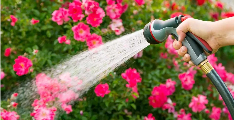 آبیاری فضای سبز