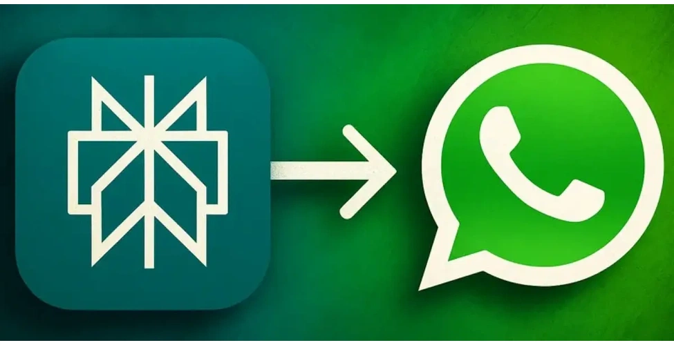 Perplexity to whatsapp