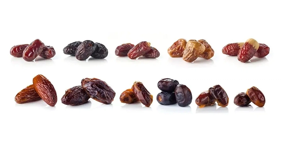 انواع خرما