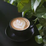 كاپوچينو