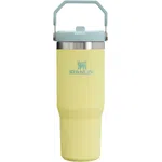 ماگ استنلی نی دار FLIP ICEFLOW™ 30 OZ