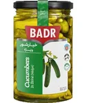 خیارشور ویژه بدر 630 گرمی