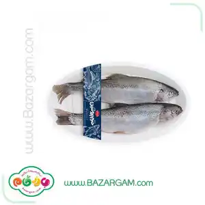 ماهی قزل آلا منجمد بسته بندی 1 کیلوگرمی